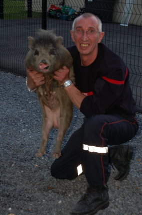 1 Juillet 2008    21h