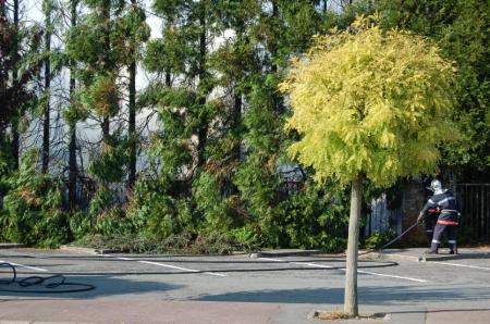 Feu de v�g�tation