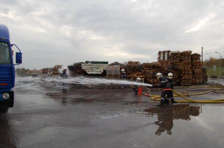 extinction  19/11/06