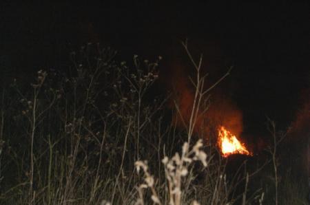 20/11/06 feu  de  d�tritus